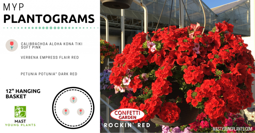 Confetti Garden™ Combo Plantogram Mast Young Plants