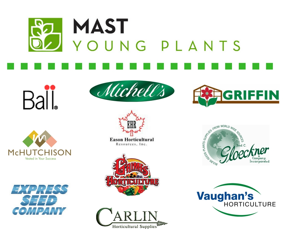 Our Broker Companies Mast Young Plants