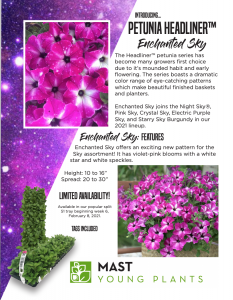 Enchanted Sky flier image