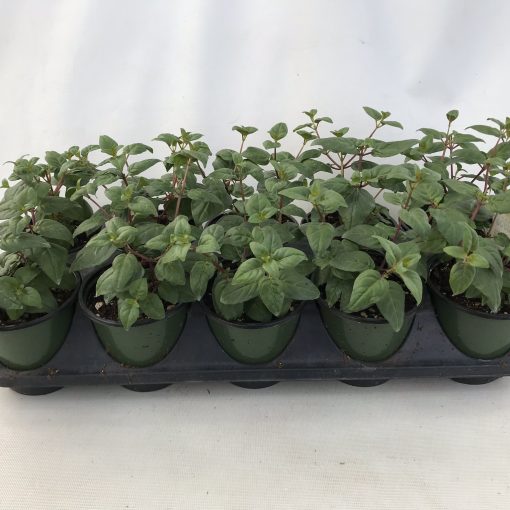 Quick Start picture 2