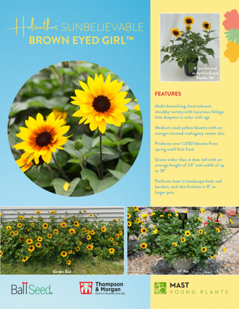 Young Plants new variety 2022