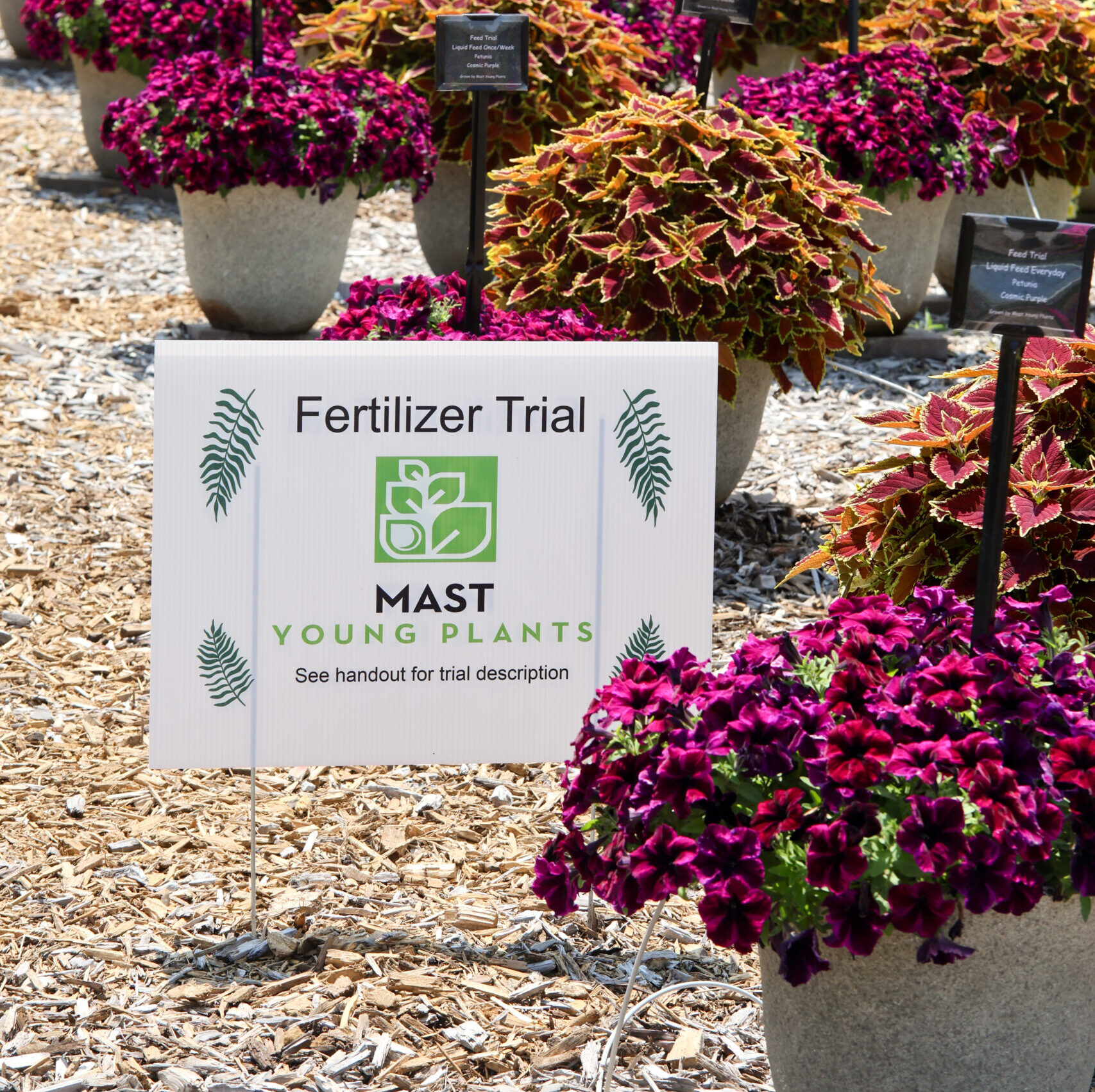 Fertilizer Trial 2025