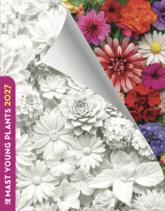 spring catalog