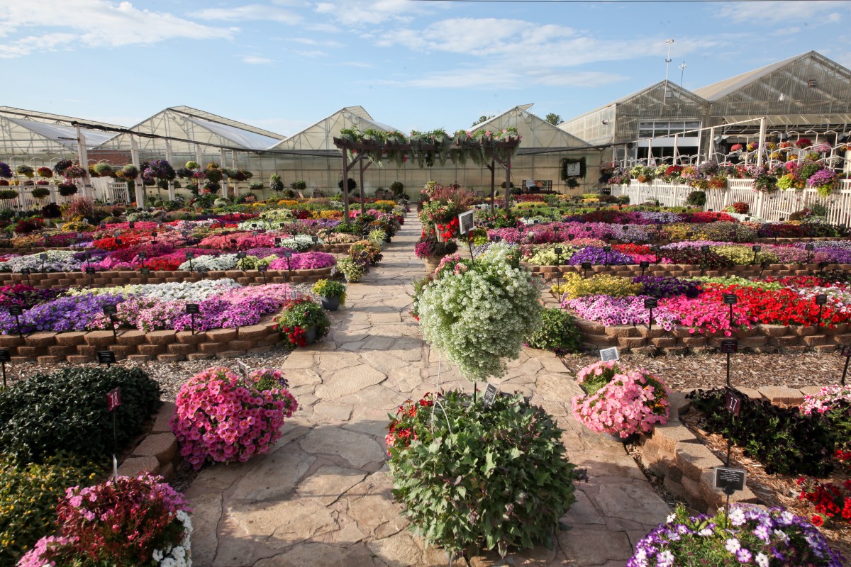 Mast Young Plants Living Catalog Trial Garden